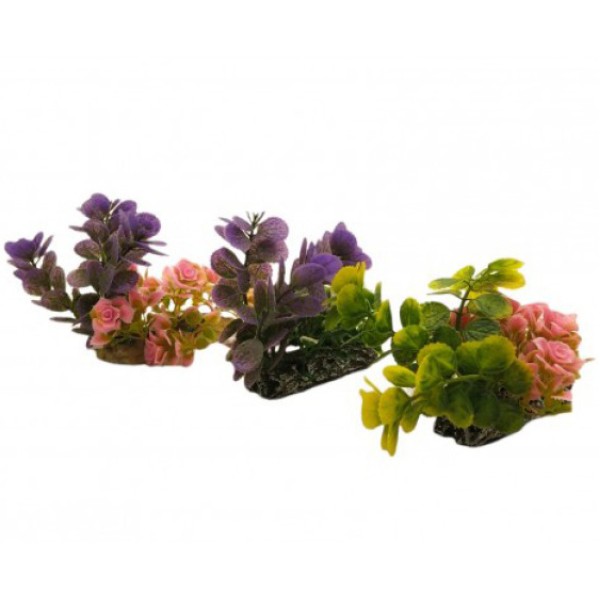 ΔΙΑΚΟΣΜΗΤΙΚΟ ΦΥΤΟ ΕΝΥΔΡΕΙΟΥ13Χ11.5CM